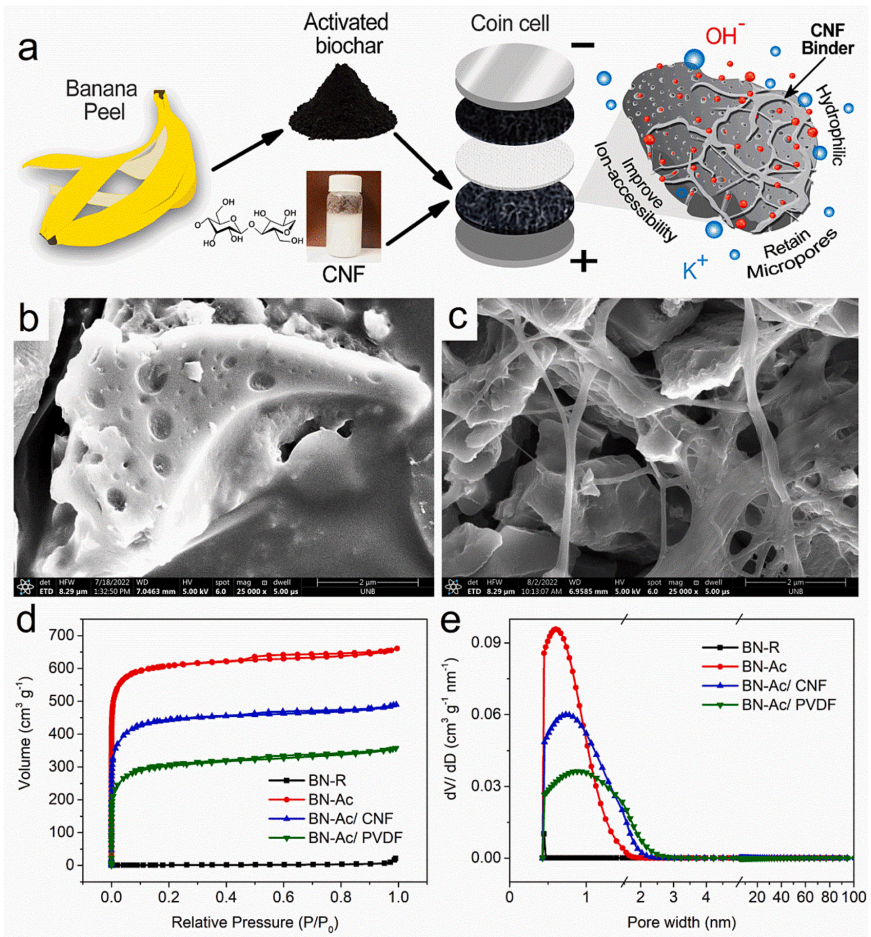 陕西科技大学倪永浩Carbohydr. Polym.：生物炭基超级电容器用BN-Ac/CNF电极的制备与表征