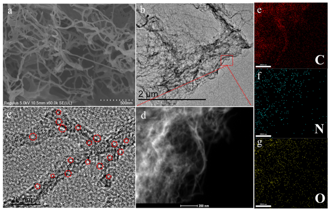 陕西科技大学沈梦霞&段超ACS Appl. Energy Mater.：具有交联网络结构和多尺度多孔形态的N/CA-Cd电催化剂及其在高性能锌空气电池中的应用