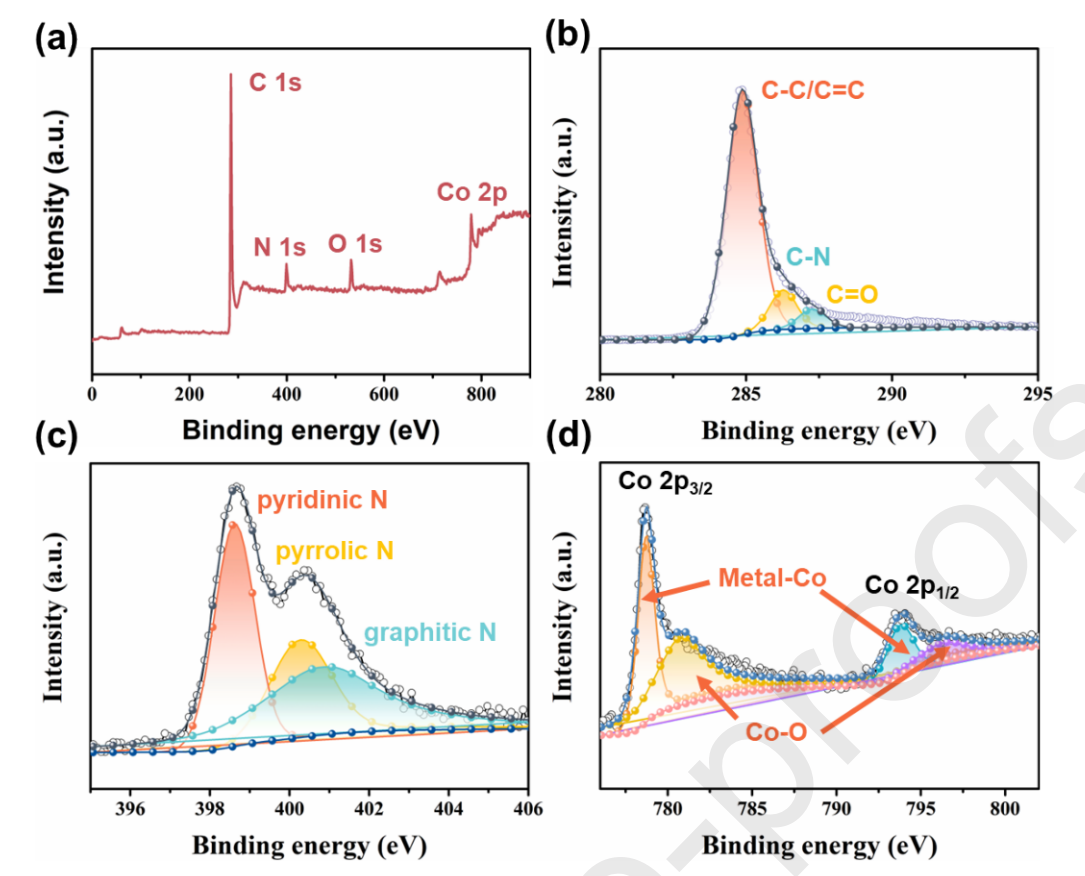 西安交通大学丁书江&延卫J. Colloid Interface Sci.：柔性MCF/Co复合材料的制备及其电磁波吸收性能