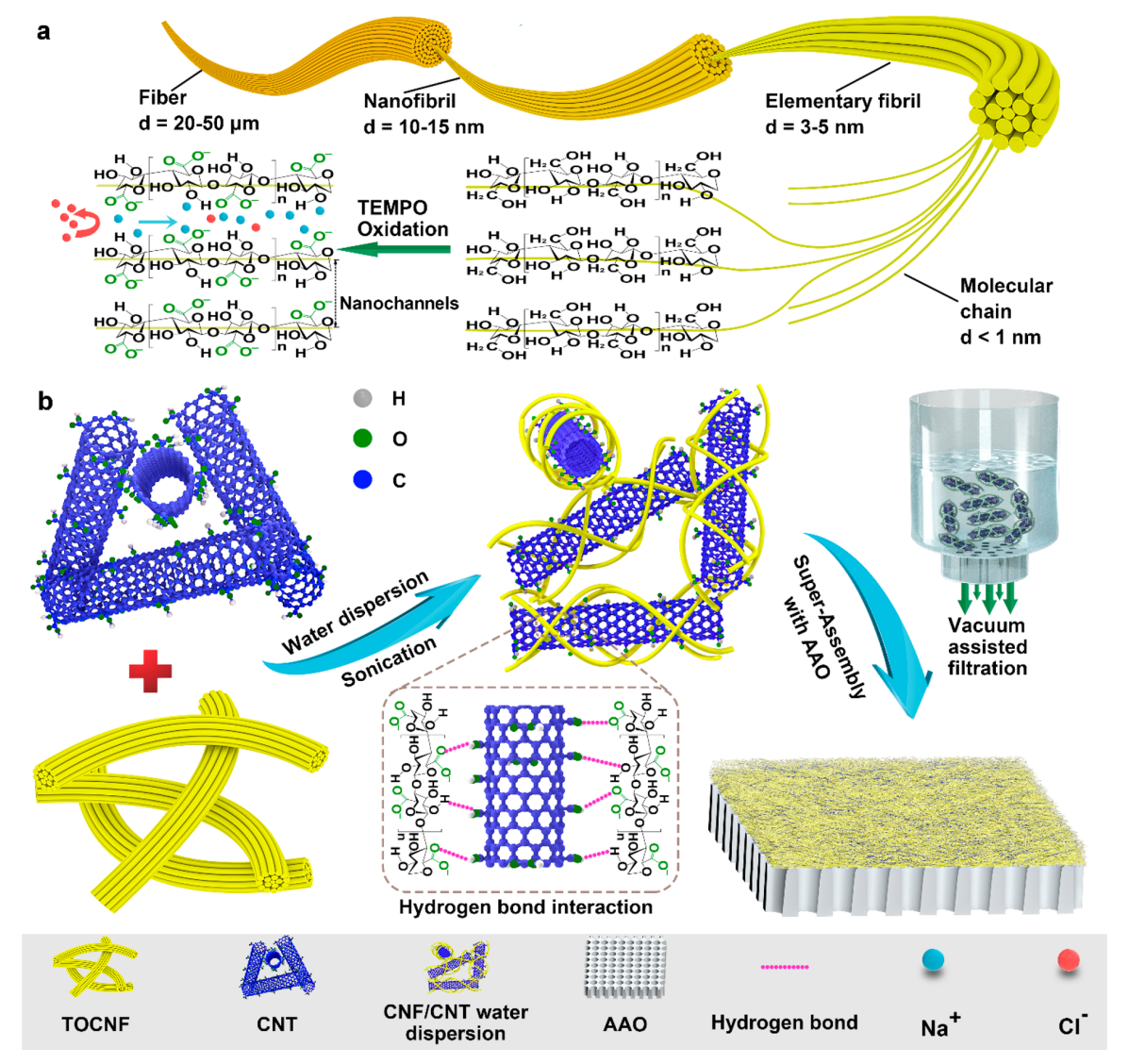 同济大学刘明贤&复旦大学孔彪ACS Appl. Mater. Interfaces：界面超组装策略制备CNF-CNT/AAO混合纳米通道膜，用于协同盐度梯度能量转换
