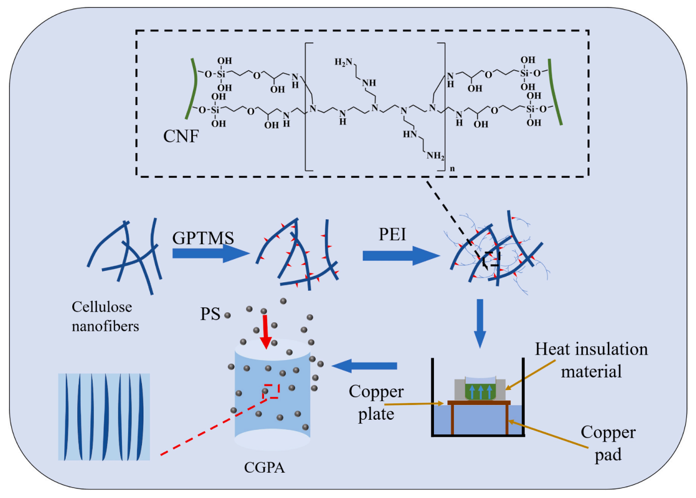 南京林业大学徐朝阳Int. J. Biol. Macromol.：定向CNF/GPTMS/PEI气凝胶的制备及其对水体中微塑料的快速吸附