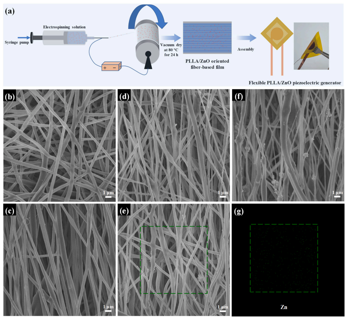 武汉理工大学杨全岭&熊传溪&石竹群Compos. Part A Appl. Sci. Manuf.：基于PLLA/ZnO取向纤维的柔性压电发电机用于可穿戴自供电传感