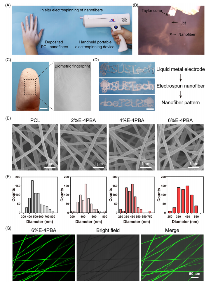 青岛大学龙云泽&南方医科大学蒋兴宇Aggregate：一种含多臂抗生素的原位敷料，用于治疗不规则伤口