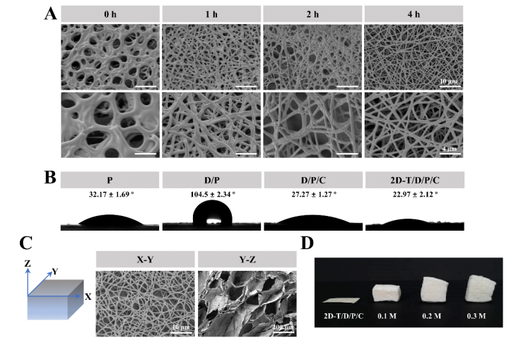 成都中医药大学潘晓丽副教授&瞿燕教授&张晨副研究员：3D-ZnMOF 纳米纤维海绵促进MRSA感染伤口愈合