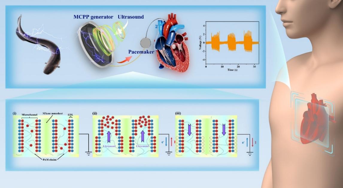 南通大学李大伟&张伟教授团队：纳米纤维水凝胶应变传感器及超声纳米发电机