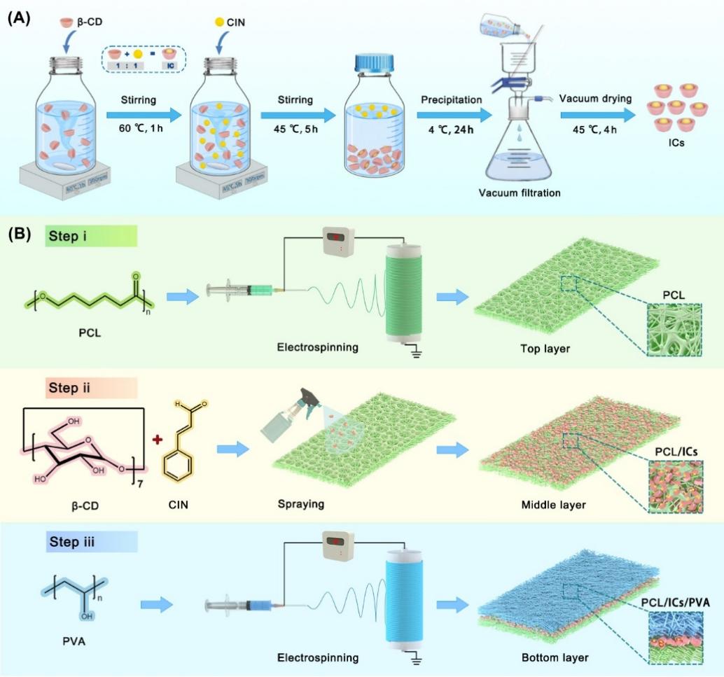 【Chemical Engineering Journal】兼具定向输水与湿度响应双功能智能抗菌垫，用于水果保鲜