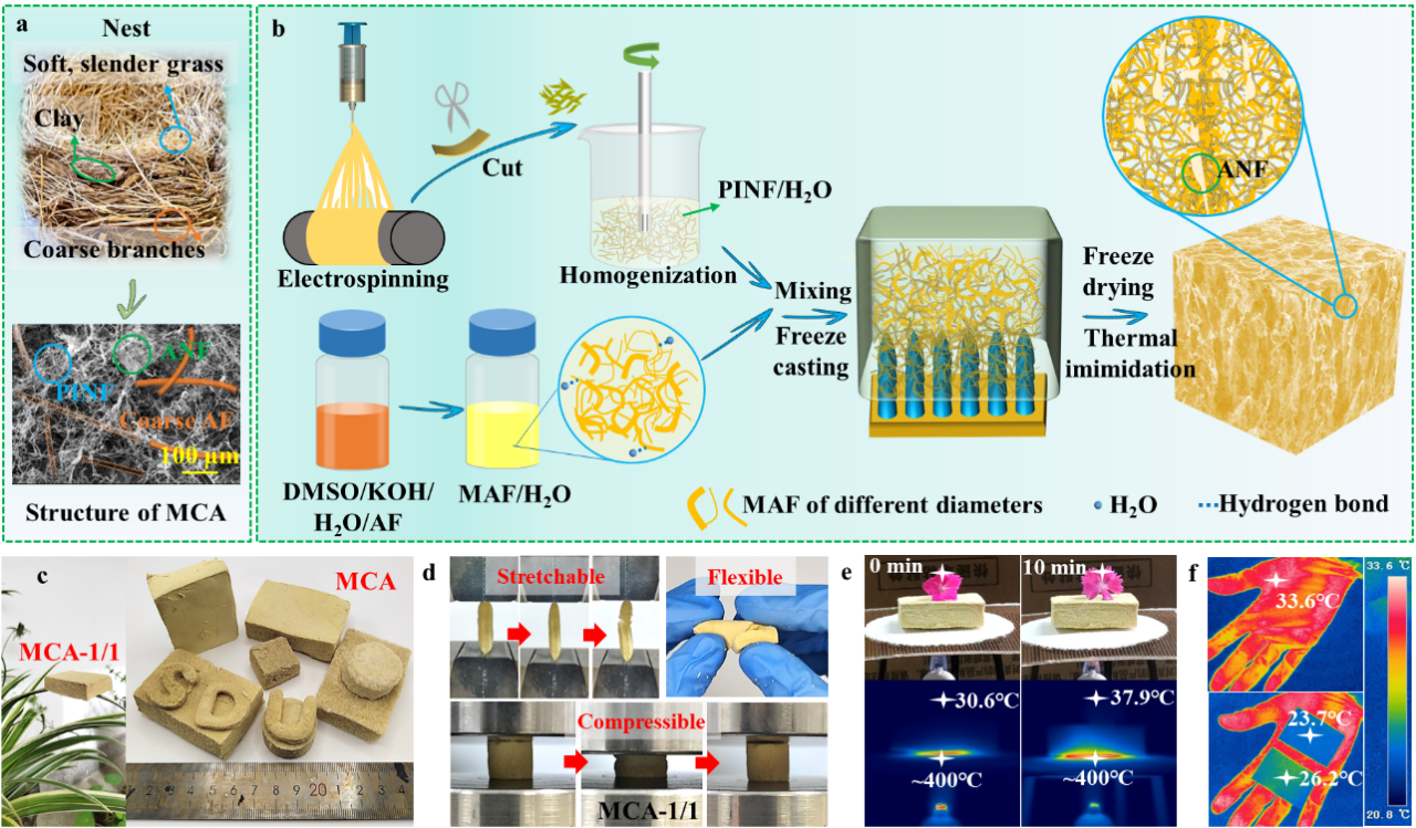 山东大学于美杰教授&王成国教授&周传健教授团队：受鸟巢启发，构筑仿生全纤维多尺度复合气凝胶，兼具隔热、吸声、吸油等多功能