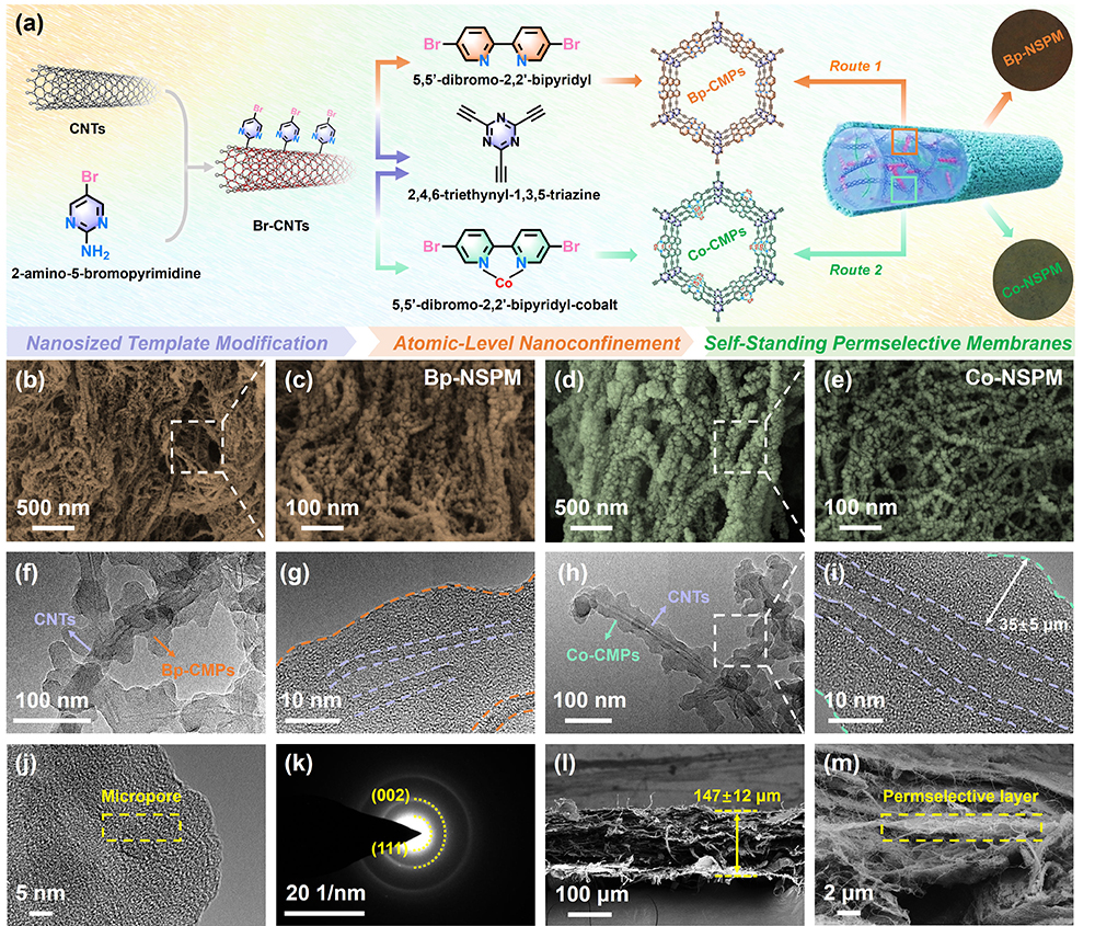 中国矿业大学AFM：原子级纳米限域策略实现多相污染物精准识别与高效筛分 