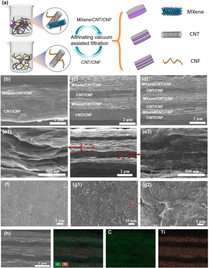 山西大学王梅教授：高性能电磁干扰屏蔽的超薄CNF基薄膜