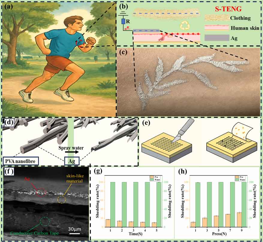 青岛大学王晓雄教授&中国人民解放军总医院陈磊主任：基于电子纹身贴片的角质层摩擦纳米发电机 