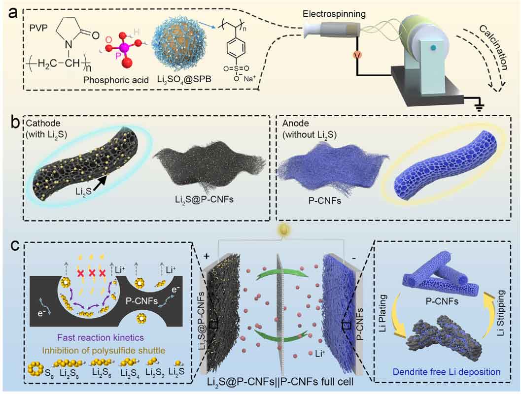 《Advanced Science》：纳米级Li₂S负载多孔碳纳米纤维，作为无负极锂硫电池的自支撑电极