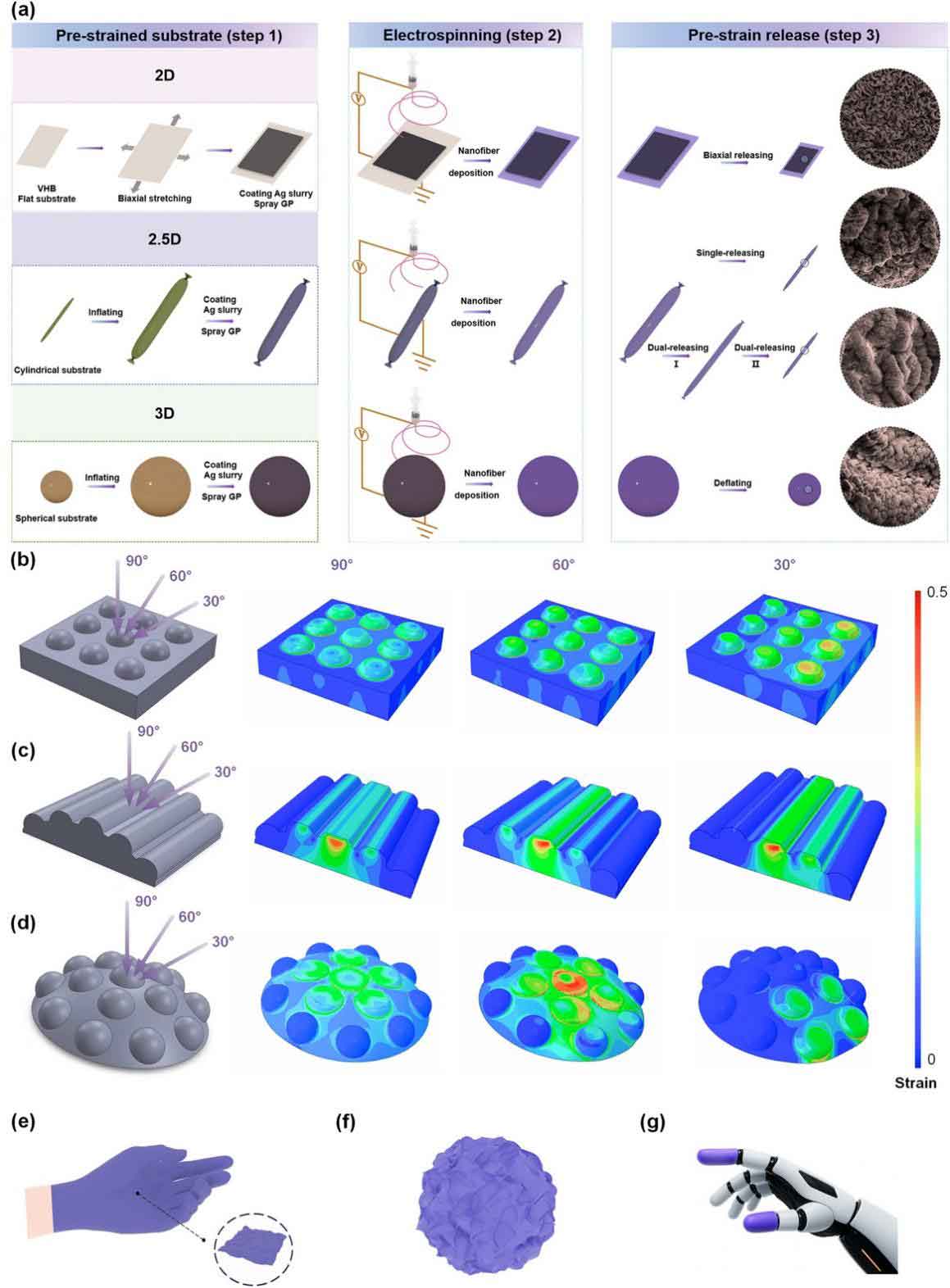 深圳技术大学尹晓红团队&香港中文大学刘晓华团队：可贴合任意曲面的褶皱工程化柔性皮肤，实现多方向力感知