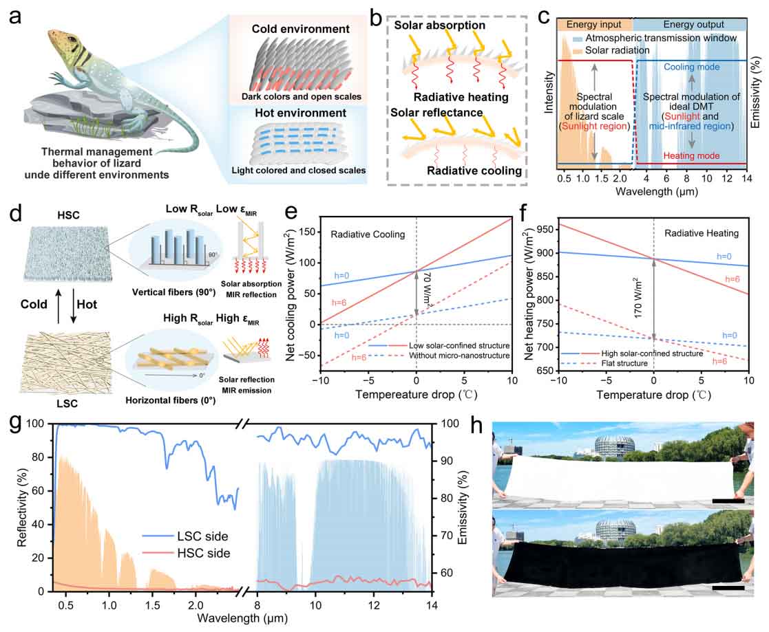 东华大学蔡再生教授：静电植绒+喷涂技术开发多功能纺织品，实现可扩展双向温度调节