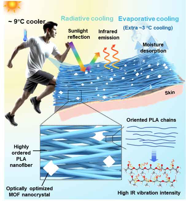 中国矿业大学何新建/徐欢团队 AFM：大分子构象策略构筑集成辐射和蒸发冷却的全天候个人热管理超织物