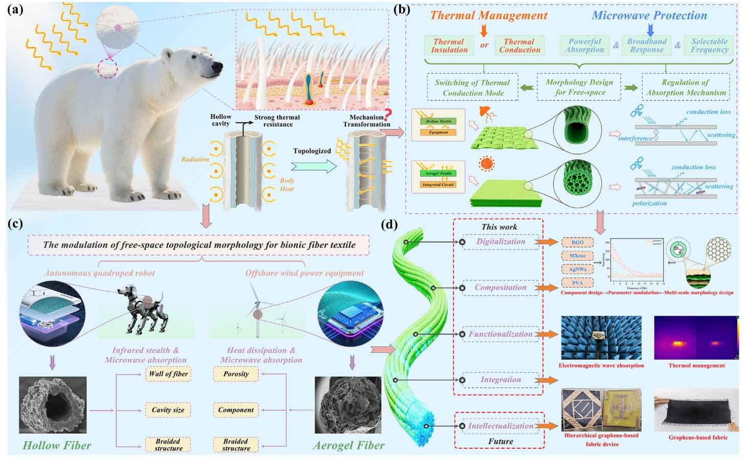 西南交通大学孟凡彬教授团队AFM：仿生自由空间架构工程：石墨烯基纤维纺织品的宽带电磁吸收与热管理