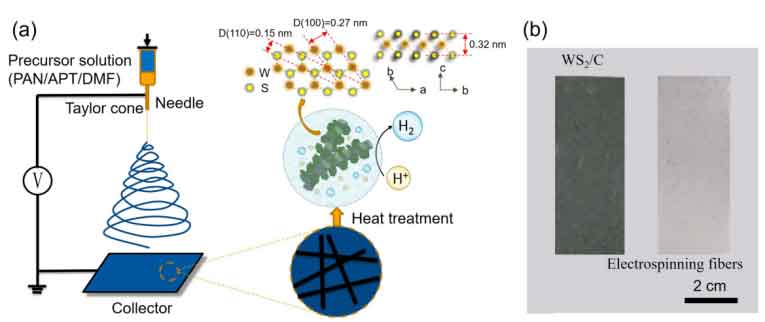 新疆师范大学张泽霞副教授&清华大学吕瑞涛教授、康飞宇教授：高效自支撑WS₂/C电催化剂：低成本光伏驱动电解水制氢新突破