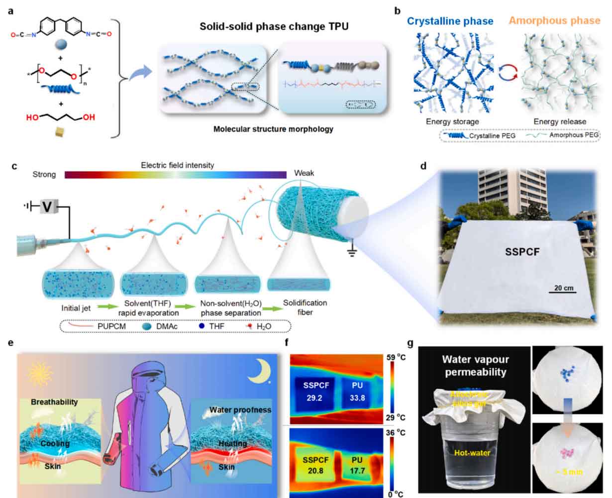 东华大学斯阳研究员：多功能固-固相变纳米纤维膜，用于自适应个人热管理