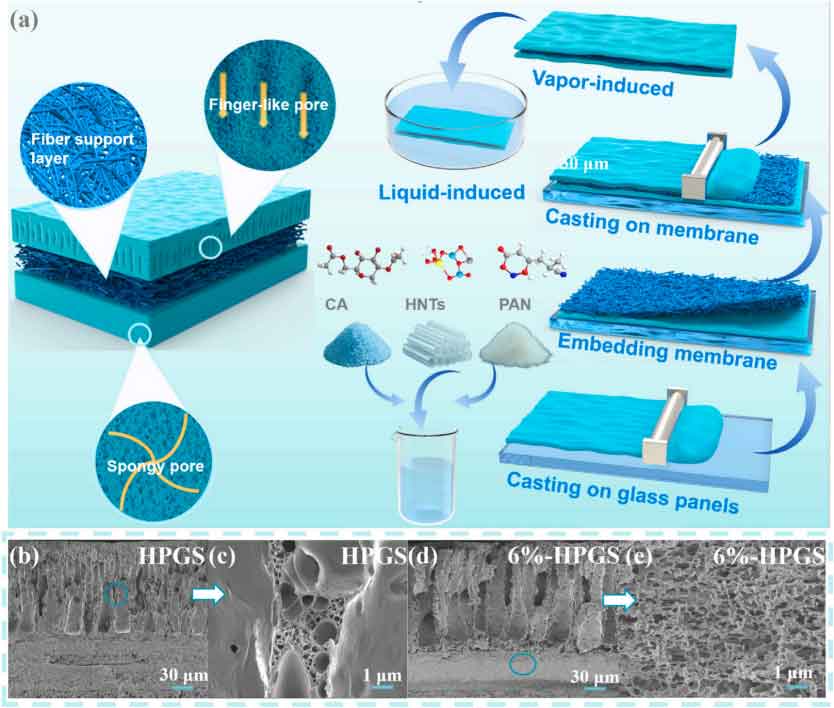 江西理工大学范兰兰：静电纺丝+液相转化，构筑非对称三明治孔结构功能隔膜