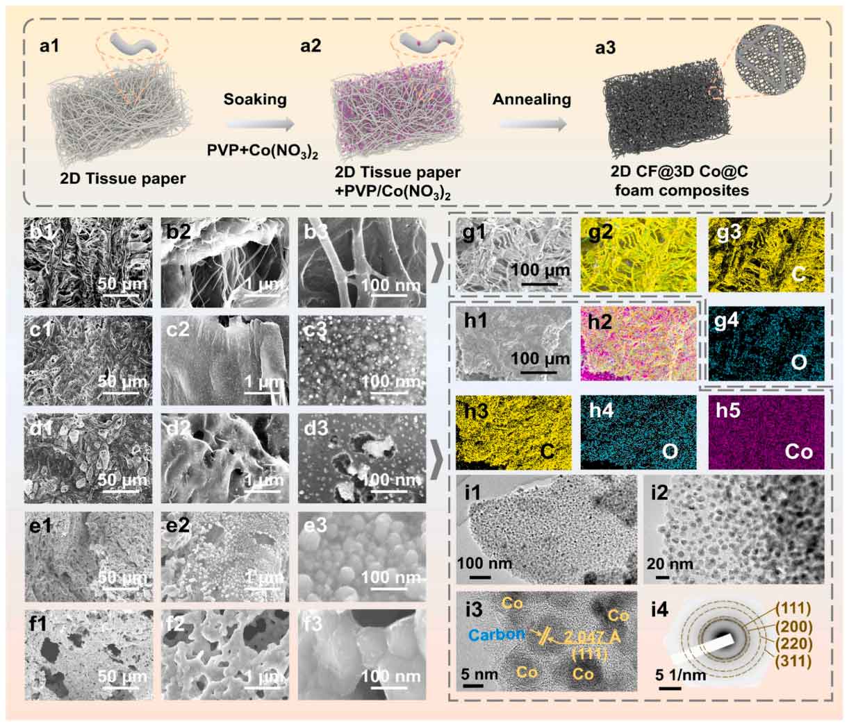 浙江师范大学童国秀&王晓娟：卫生纸为原料，设计碳纳米纤维/Co@C复合材料，实现高效微波吸收和热传导