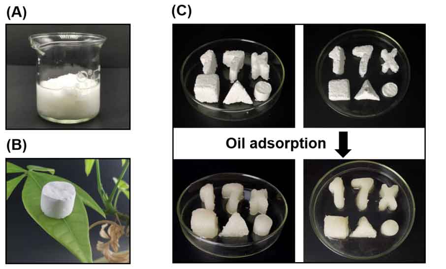 浙江大学张辉教授：巧用“快速吸油”，制备电纺纤维气凝胶模板化油凝胶