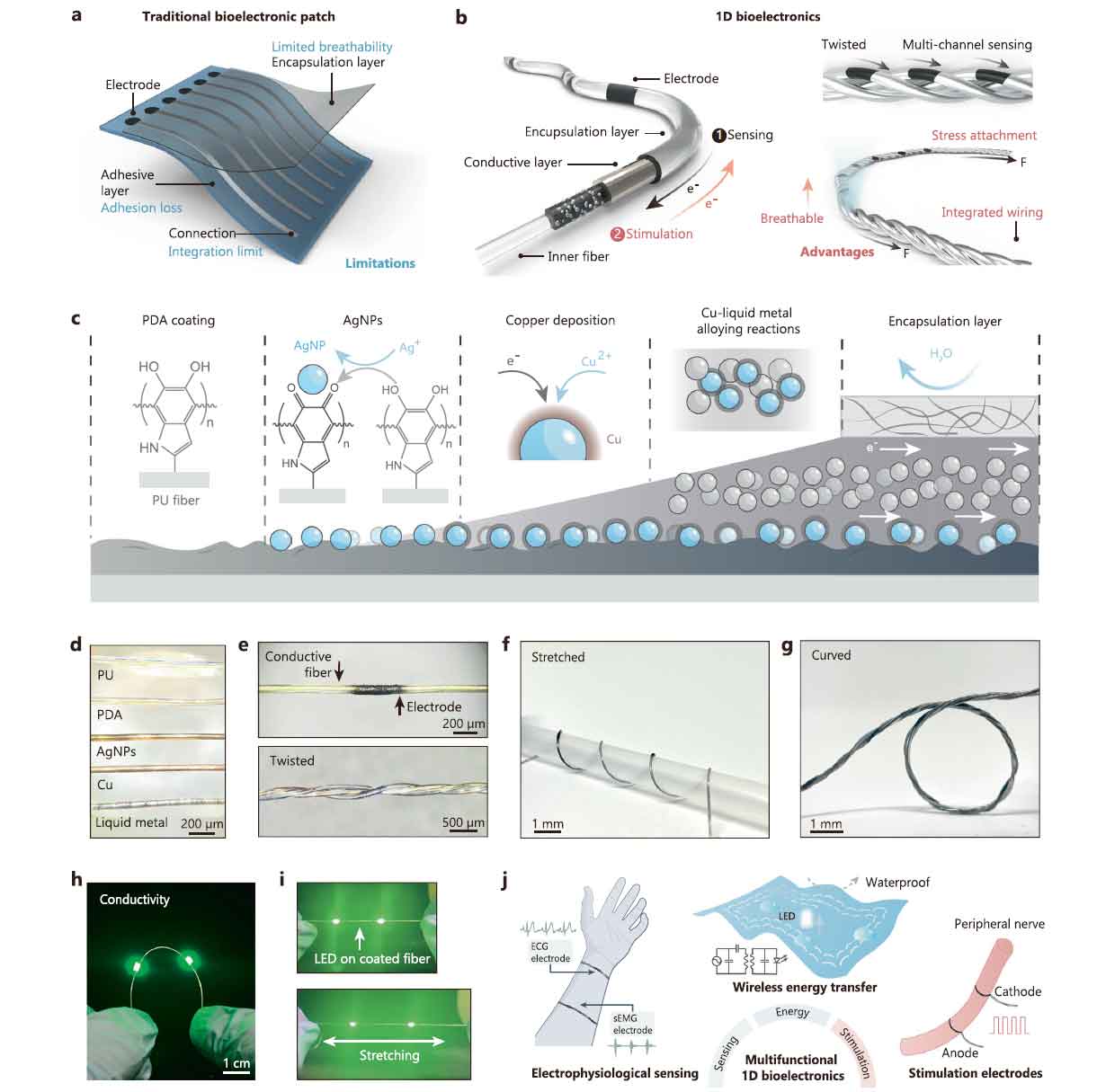《Nature Communications》：可规模化制备的可拉伸一维多功能纤维：用于多模态传感与刺激
